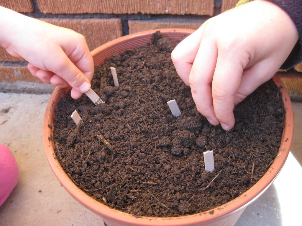 sustainability examples in everyday life