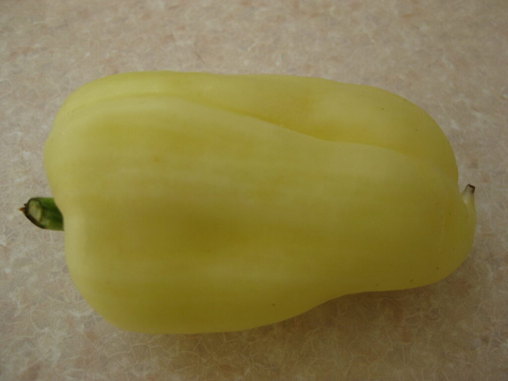the best capsicums for sataraš