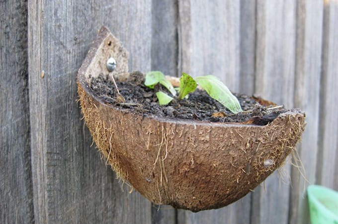 zero waste living