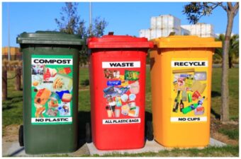 History of Composting: How an Ancient Practice Became an Environmental Movement