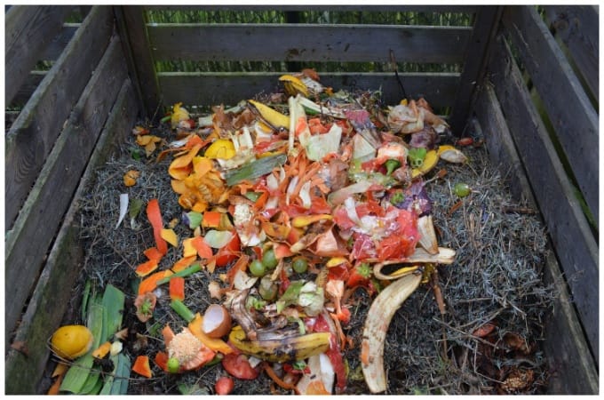 Hot vs Cold Composting: Which is Better for Your Garden?