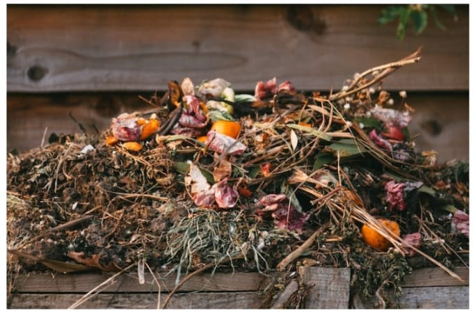 Compost Materials List (Handy Chart with Useful Tips)