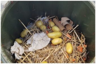 Composting Starters Demystified