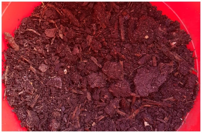 composting for beginners